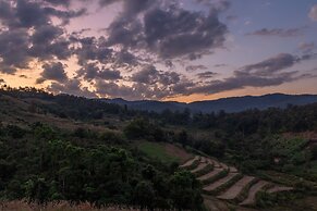 CAMP CAYLA - STELLAR