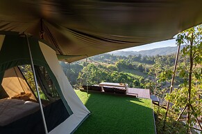 CAMP CAYLA - STELLAR