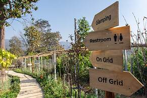 CAMP CAYLA - STELLAR