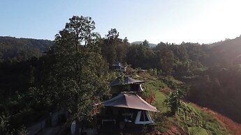 CAMP CAYLA - STELLAR