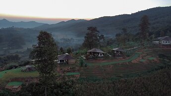 CAMP CAYLA - STELLAR