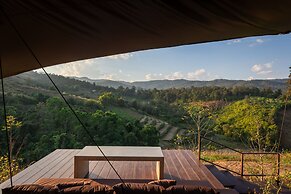 CAMP CAYLA - STELLAR