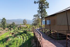 CAMP CAYLA - STELLAR