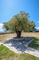 Alterra Vita Captain's Cabin