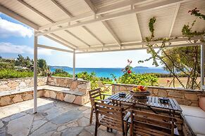 Alterra Vita Captain's Cabin