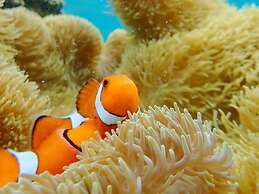 Yonaguni-mumbu Airport Hotel