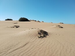 a Vacation That Becomes a Dream