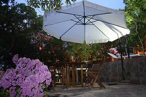 a Vacation That Becomes a Dream