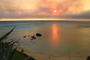 a Vacation That Becomes a Dream