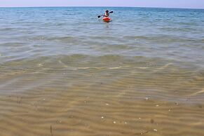 a Vacation That Becomes a Dream