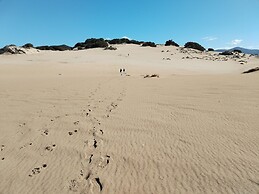 a Vacation That Becomes a Dream