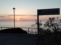 a Vacation That Becomes a Dream