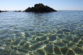 a Vacation That Becomes a Dream