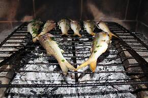 a Vacation That Becomes a Dream