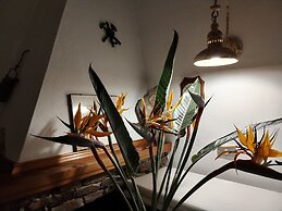 a Vacation That Becomes a Dream