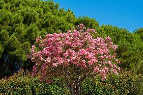 La villa Roméo - Piscine & Spa