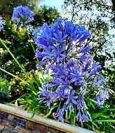 La villa Roméo - Piscine & Spa