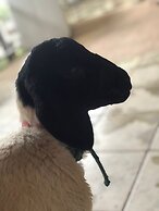 Pousada Rural Da Vovó