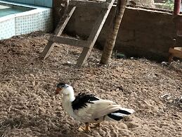 Pousada Rural Da Vovó