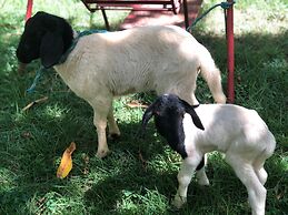 Pousada Rural Da Vovó