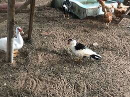 Pousada Rural Da Vovó