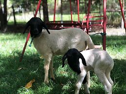 Pousada Rural Da Vovó