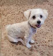 B&B Quinta da Romãzeira