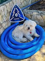 B&B Quinta da Romãzeira