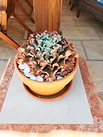 B&B Quinta da Romãzeira