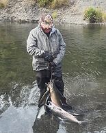 Driftwood Wilderness Lodge