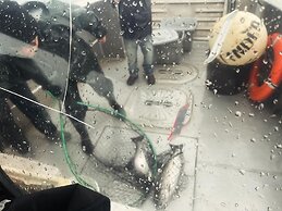 Driftwood Wilderness Lodge