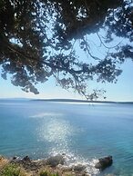 Room in Guest Room - Plava Laguna Bed and Breakfast