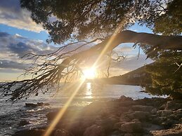 Room in Guest Room - Plava Laguna Bed and Breakfast