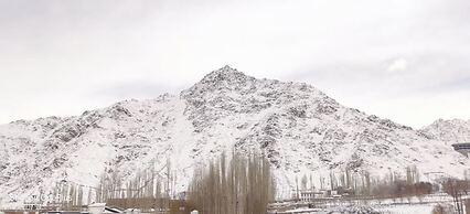 Hotel Mountain Vibes