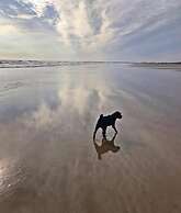 Dog Friendly Bed & Bowl Beach Chalet