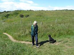 Dog Friendly Bed & Bowl Beach Chalet
