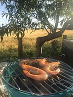 Dog Friendly Bed & Bowl Beach Chalet