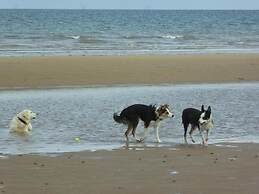 Dog Friendly Bed & Bowl Beach Chalet