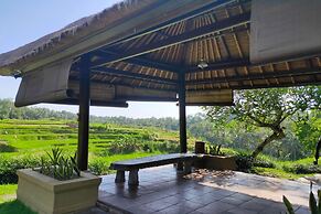 Semana Residences by Cove