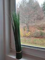 Room in Guest Room - Pension Forelle - Double Room No01 in Hundsbach