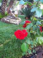 Green Sporting Club Hotel