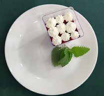 Shick Hostel & Apartments