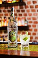 Shick Hostel & Apartments