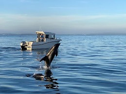 The Stables - Stokeinteignhead