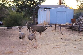 1 Mi to Dtwn: Scenic Prescott Hillside Retreat!