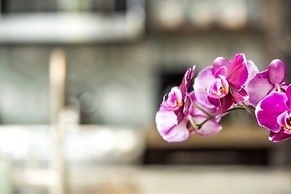 80 LEX 202 Iconic Location Park Free Off Street