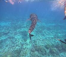 Raalhu Fonu Maldives