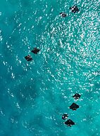 Raalhu Fonu Maldives