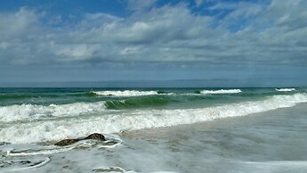 Sand Dollar 107