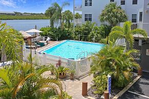 Sea Shell 14 - Premier